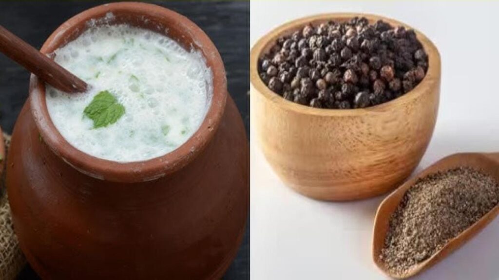 दही में काली मिर्च डालकर खाने से होने वाले अद्भुत फायदे – जानिए क्यों इसे अपनी डाइट में शामिल करना चाहिए!