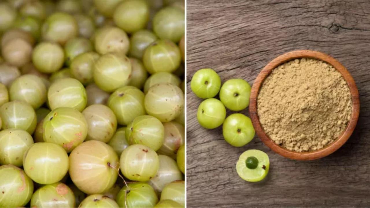कच्चा आंवला या आंवला पाउडर: गर्मियों में किस तरह Amla खाने से मिलेगा सेहत को ज्यादा फायदा?