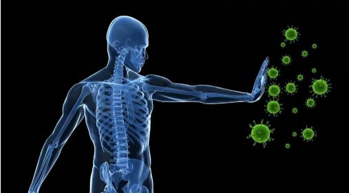 Immunity booster