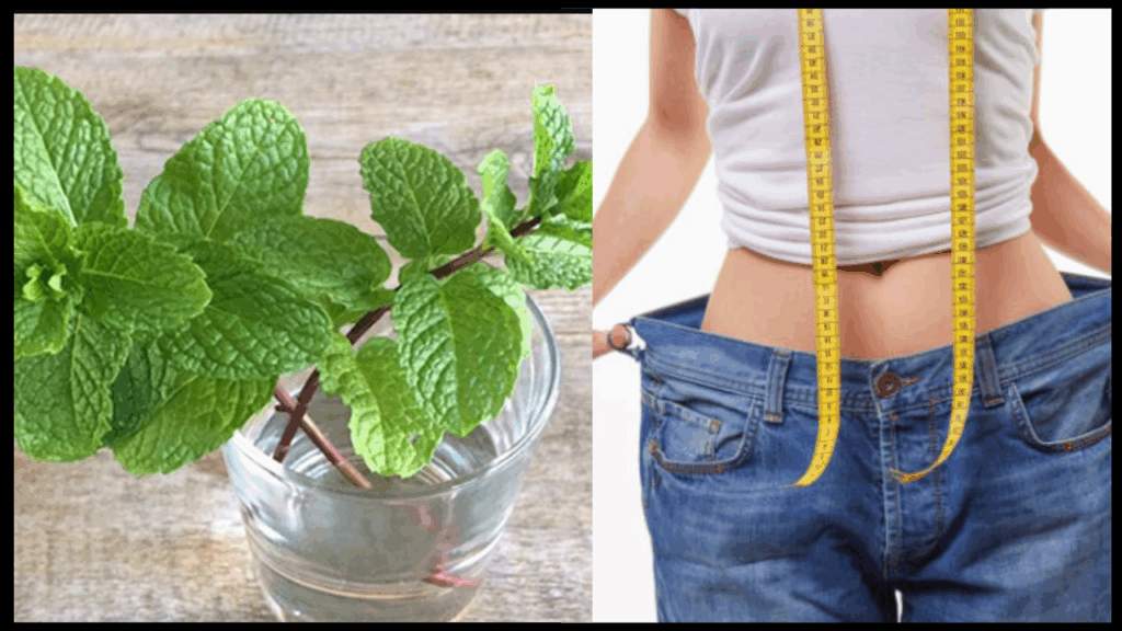 benefits of drinking pudina water empty stomach khali pet pudina peene ke fayde in hindi