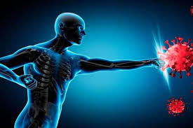 benefits of eating garlic