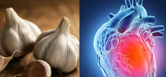 garlic benefits