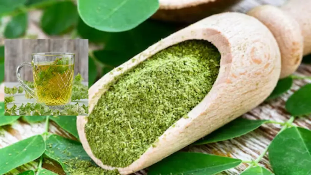moringa water benefits