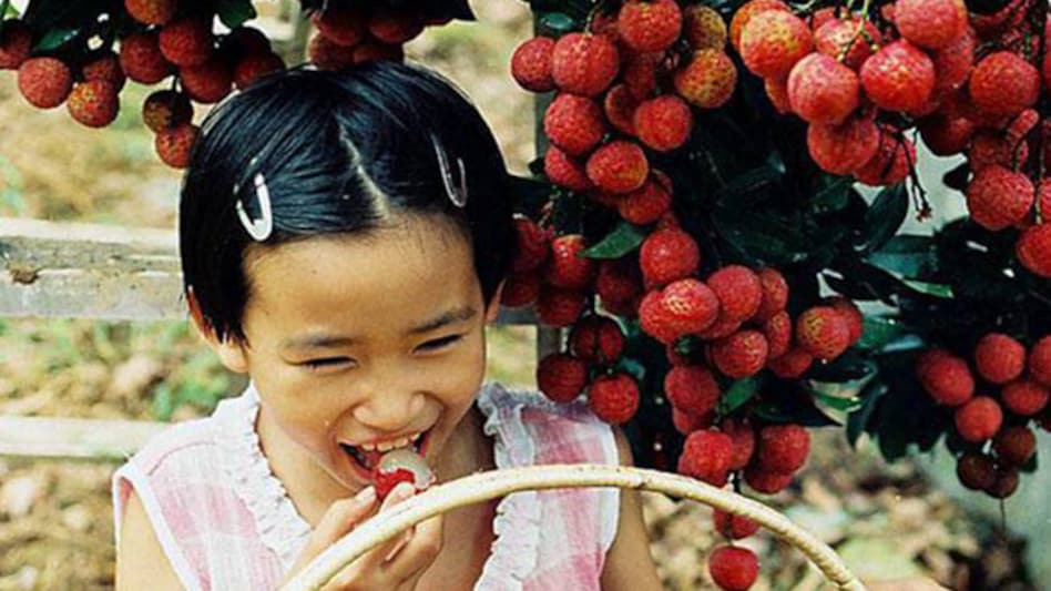 Litchi for kids