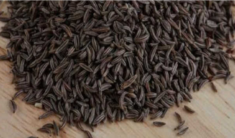 black jeera benefits