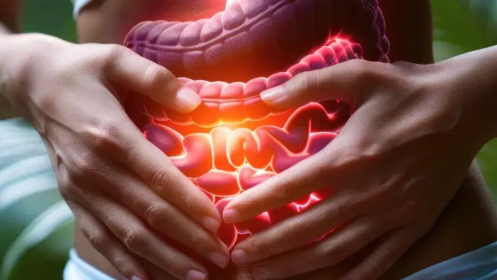 digesion system strong