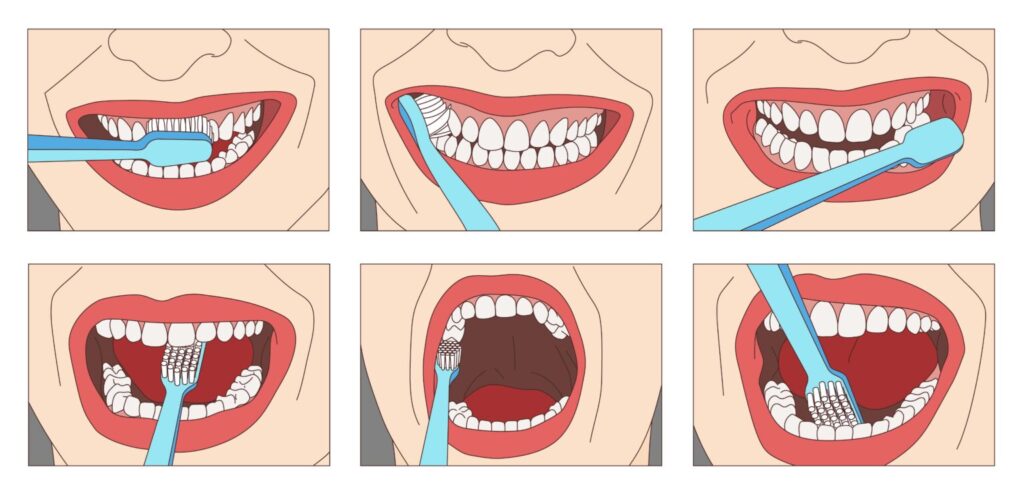 how to brush your teeth daily