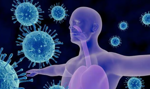 immune system majboot kese kare