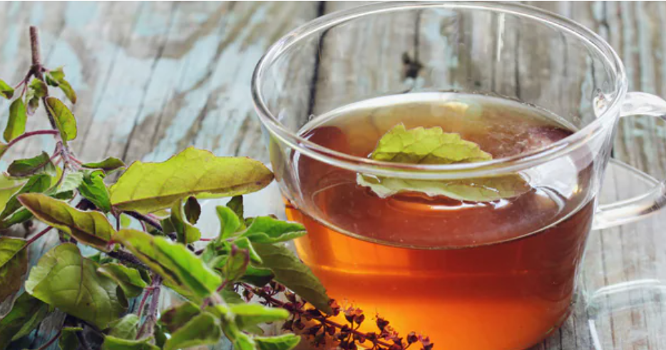 immunity booster tulsi drink