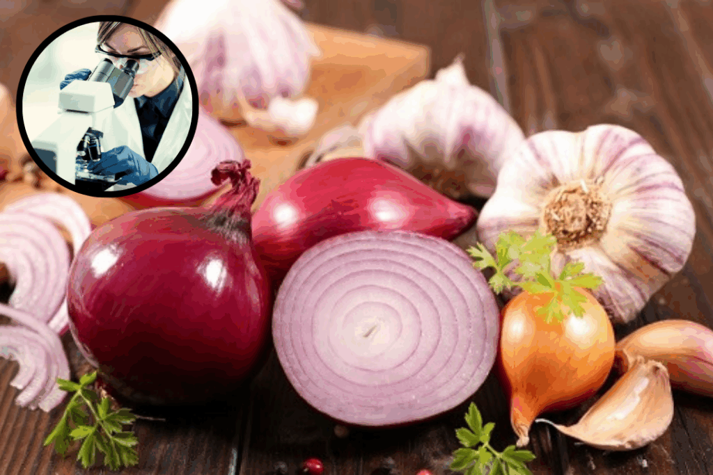 अंकुरित आलू, प्याज और लहसुन — खाना चाहिए या नहीं?
Sprouted potatoes, onions, and garlic — should you eat them or not?