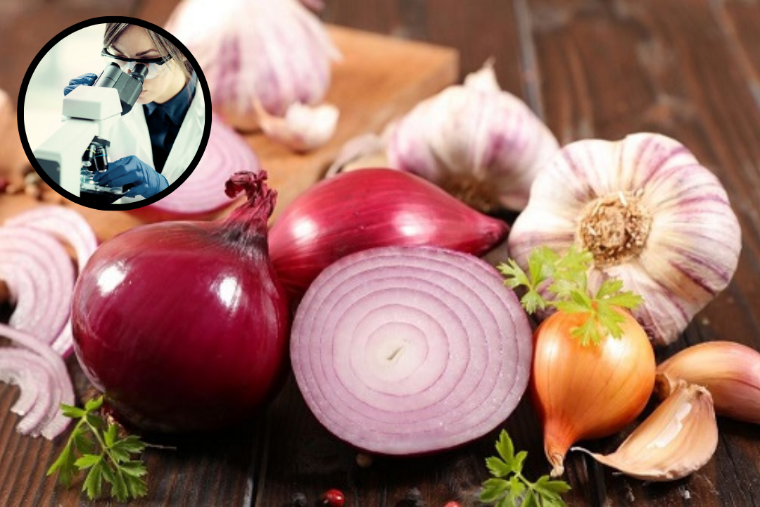 अंकुरित आलू, प्याज और लहसुन — खाना चाहिए या नहीं? Sprouted potatoes, onions, and garlic — should you eat them or not?