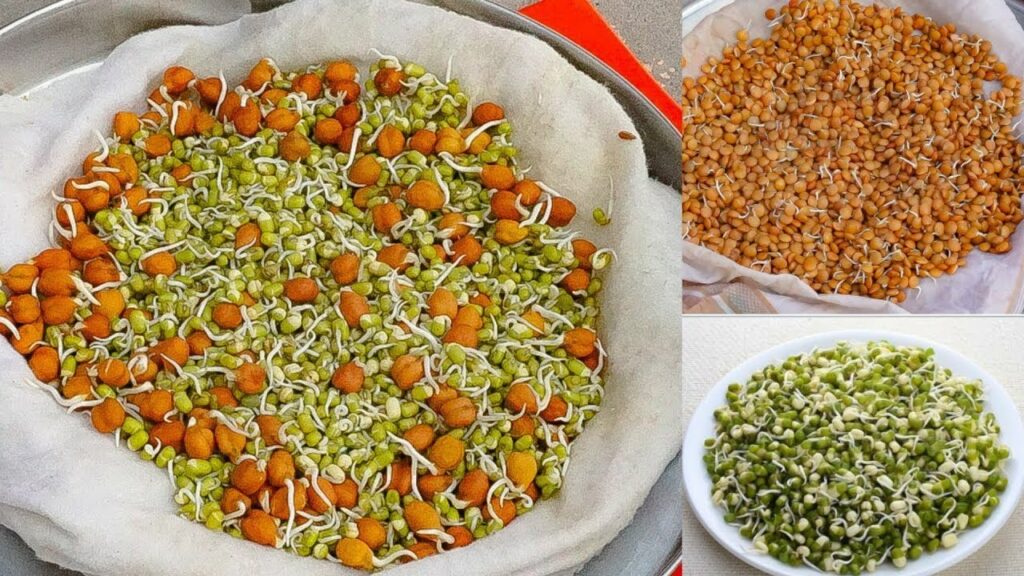 मूंग या चना को पौष्टिक कैसे बनाएं?