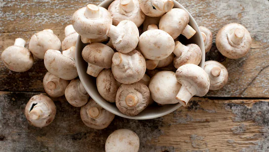 mushroom for vitamin d