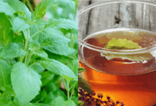 rojana subha khali paet tulsi khane ke fayde