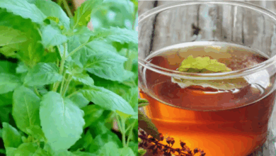 rojana subha khali paet tulsi khane ke fayde