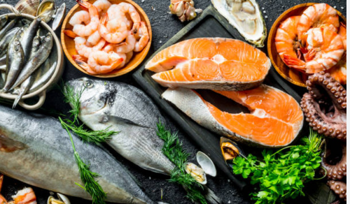 sources of vitamin b12