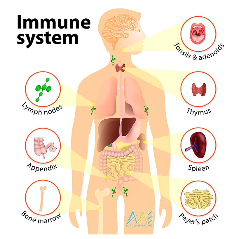 strong immunity tips