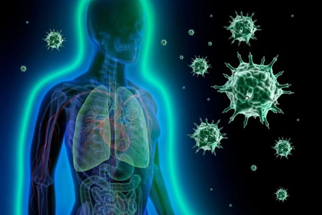 प्रतिरक्षा प्रणाली (Immunity) को मजबूत बनाता है