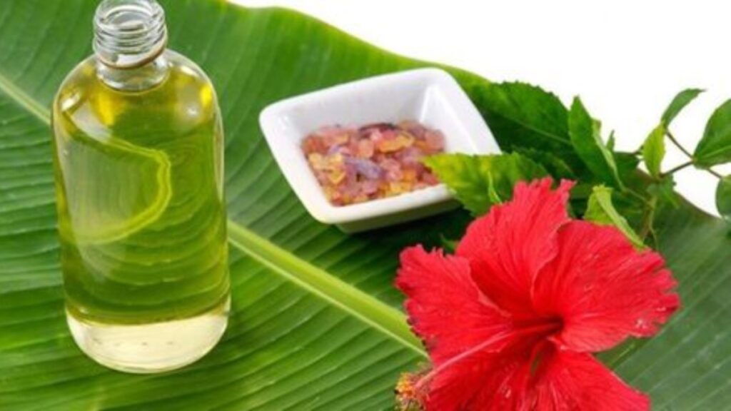 Hibiscus oil