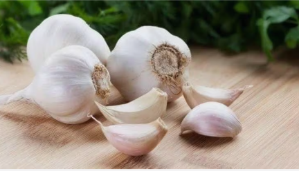 benefits of eating garlic with empty stomach