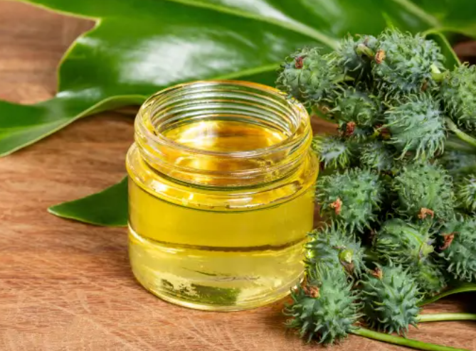 caster oil benefits arandi tel ke fayde