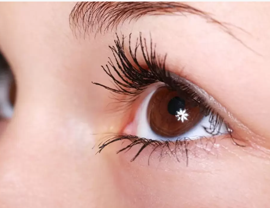 caster oil for long and dense eyelasahes
