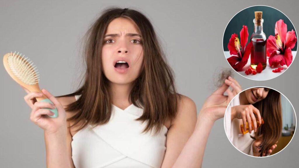 मानसून में झड़ रहे हैं बाल? गुड़हल के फूल से बना यह तेल रोकेगा हेयर फॉल