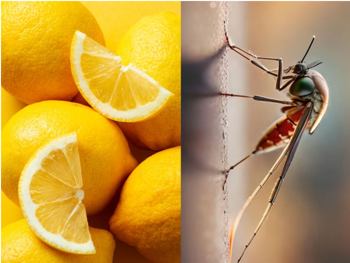 mosquito bhagane ke liye home remedies