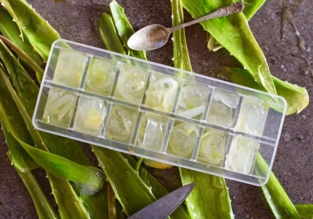 Aloe vera cube
