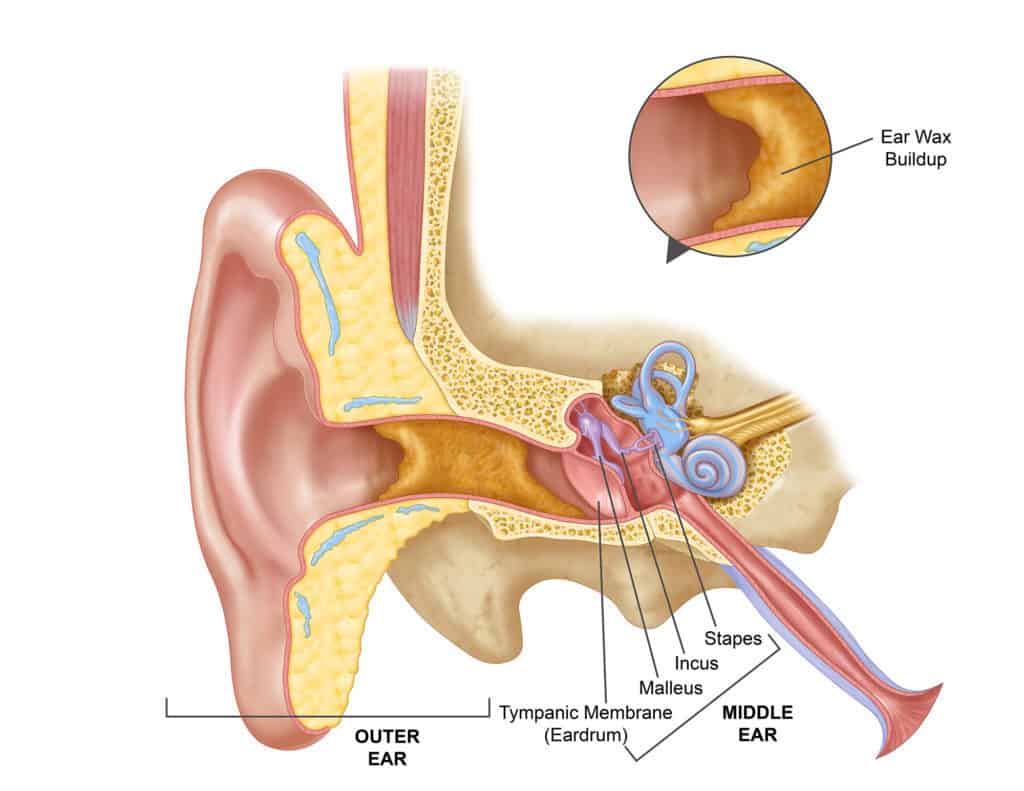Ear diagram