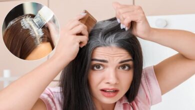 सफेद बालों के लिए हर्बल डाई: इन 3 पत्तियों से घर पर बनाएं सुरक्षित और असरदार हेयर डाई