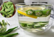 In 4 logo ke liae vardan hai bhindi ka pani