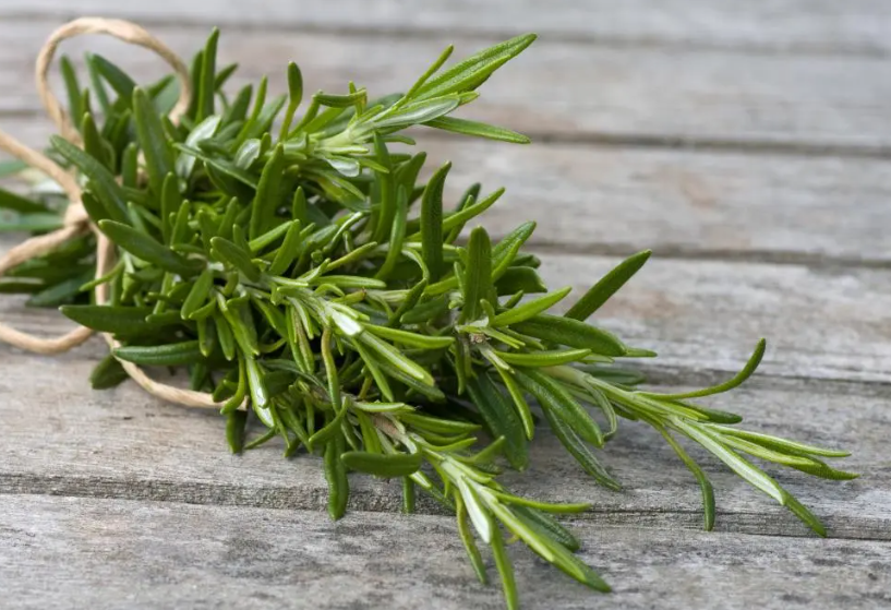 benefits of rose mary for hairs