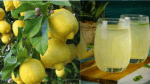 rojana nimbu pani peene ke nuksaan