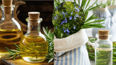 rose mary water or rose mary oil which is best for hair growth