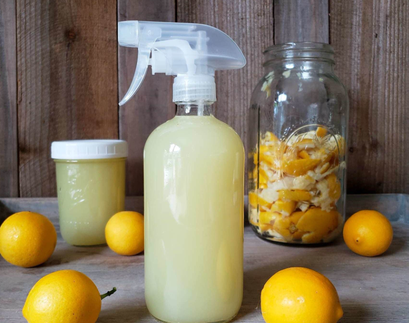 how to make dry lemon powder